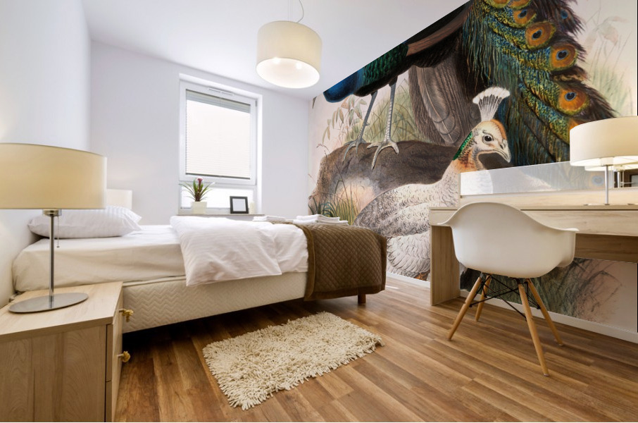 Pavo nigripennis. 1872 Mural print