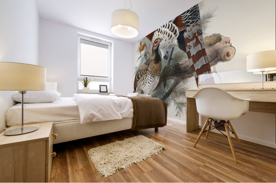 Calophasis Ellioti. 1872 Mural print