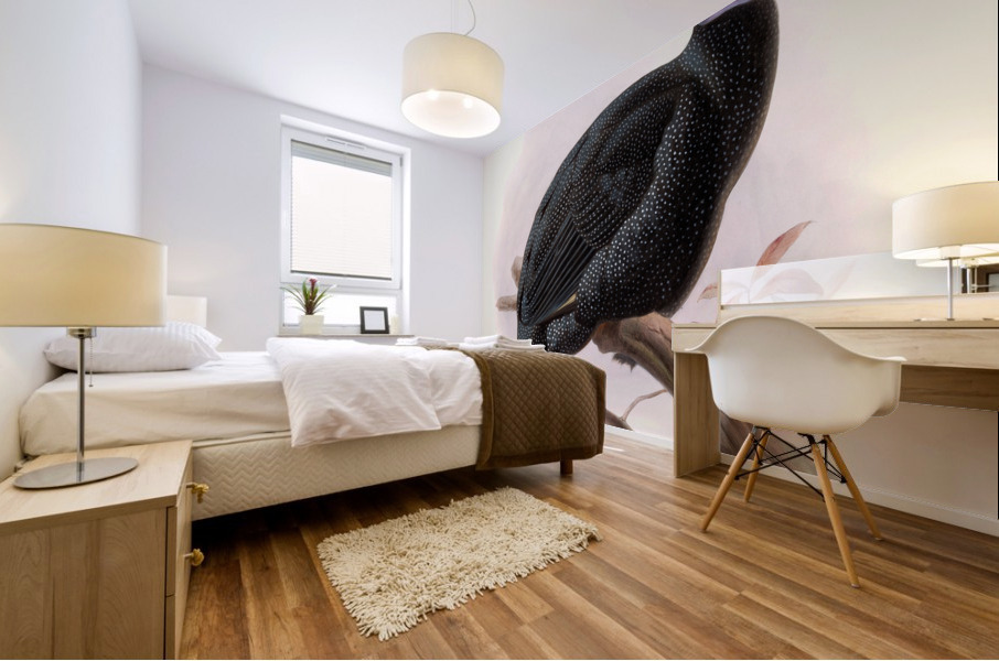 Numida Pucherani. 1872 Mural print