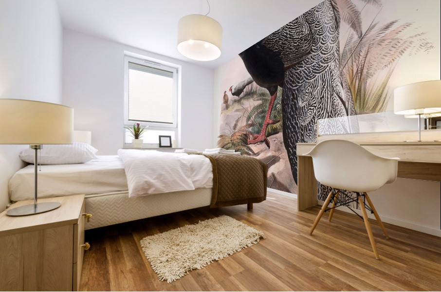 Euplocamus Andersoni. 1872 Mural print