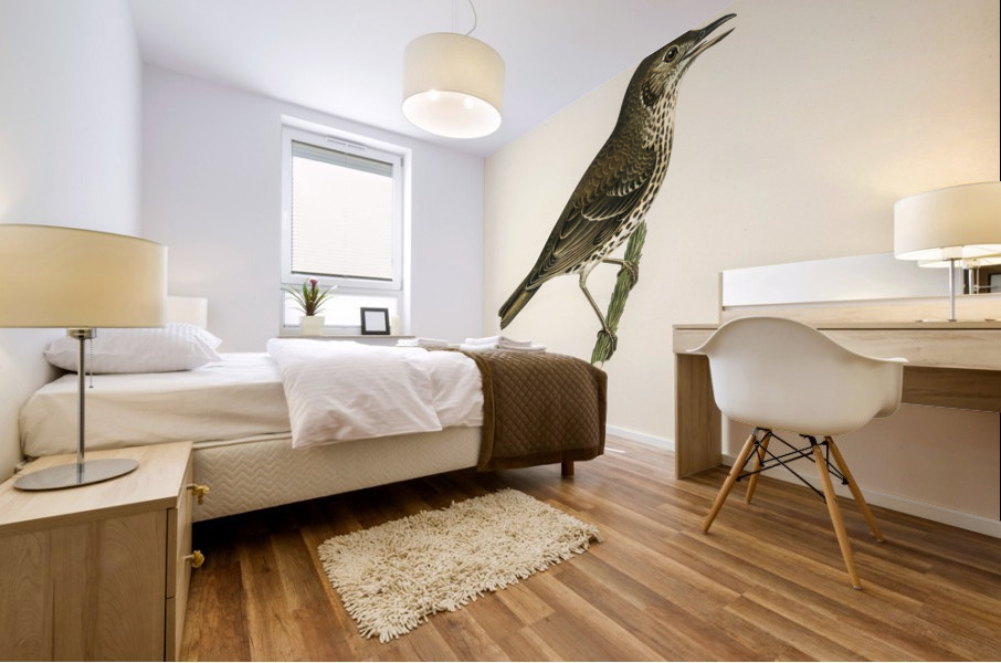 Redwing-Song thrush Turdus usicus Mural print