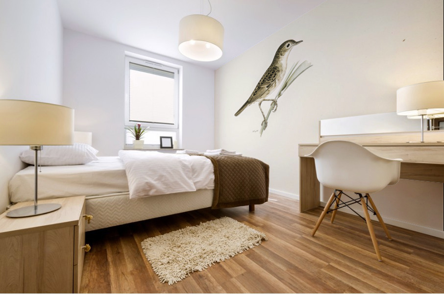 Locustella naevia Mural print