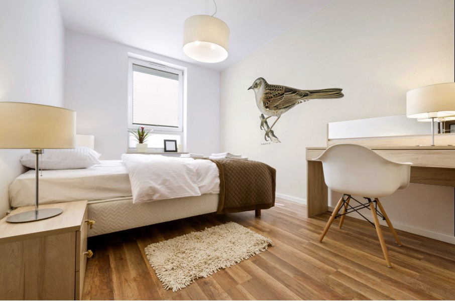 Prunella modularis Mural print