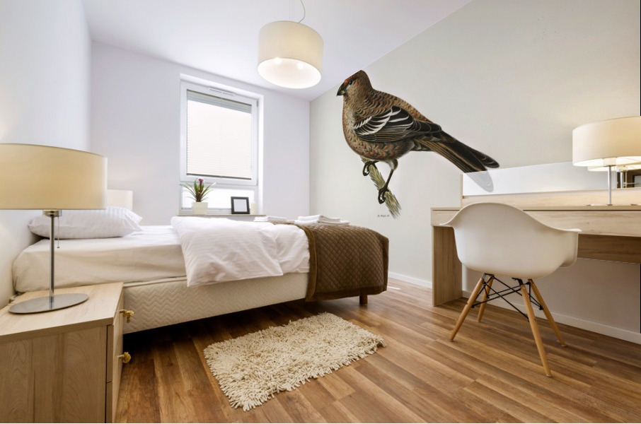 Pine Grosbeak male Pinicola enucleator Mural print