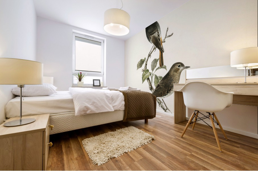 Aegithalus caudatus Long-tailed tit Mural print