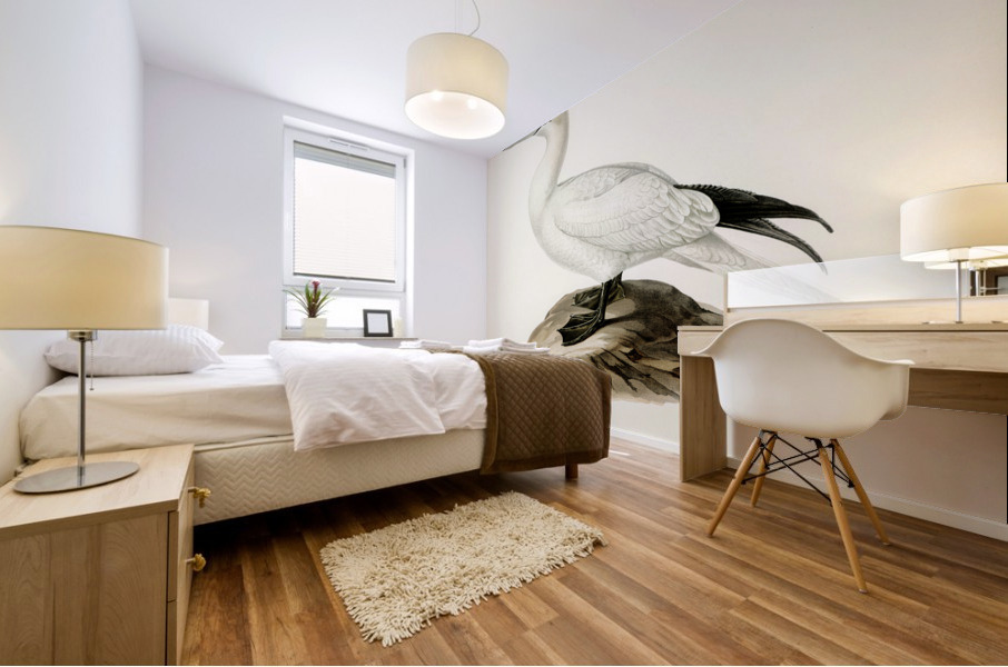 Sula bassana Mural print