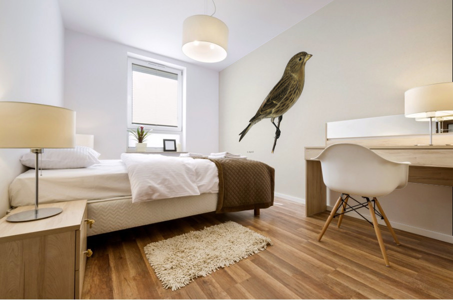 Twite Acanthis flavirostris Mural print