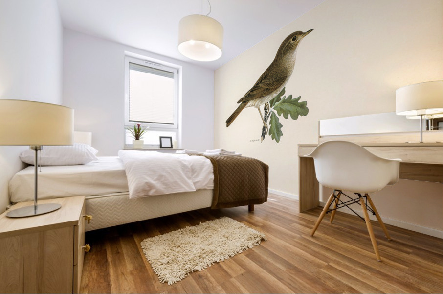 Thrush Nightingale Luscinia luscinia Mural print