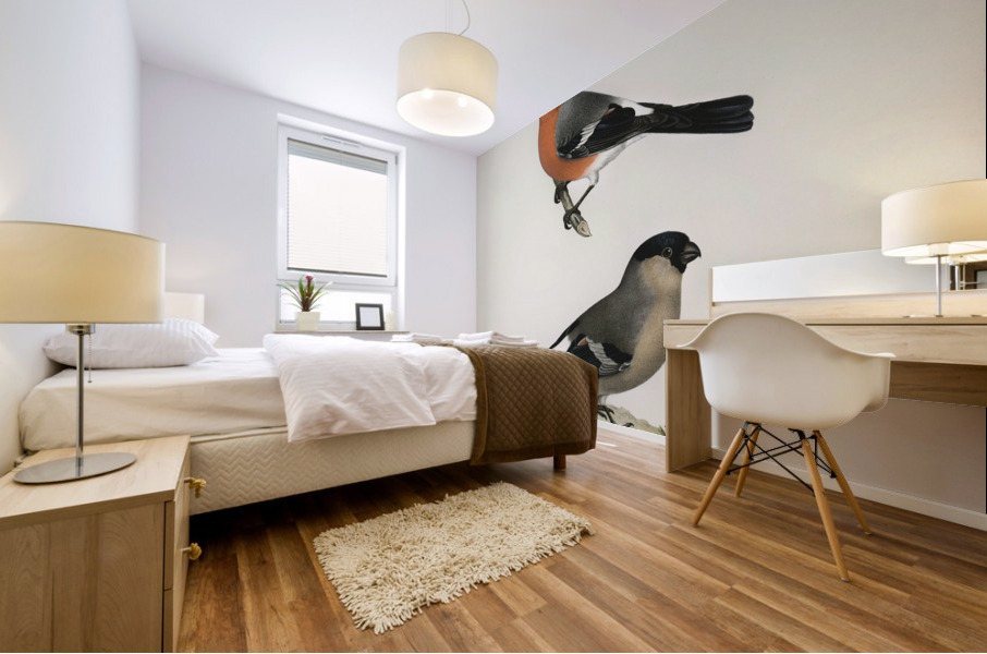 Pyrrhula Pyrrhula Mural print