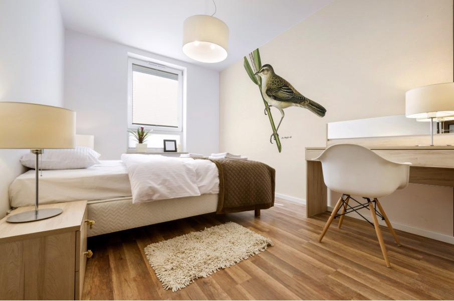 Sedge warbler Acrocephalus schoenobaenus Mural print