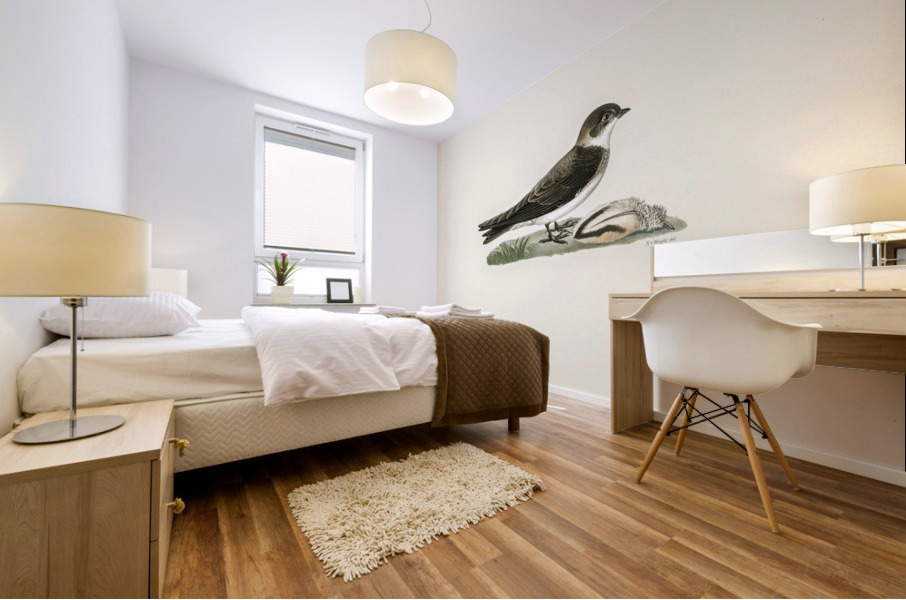 Riparia riparia Mural print