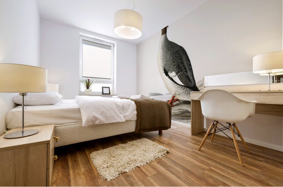 Mergus merganser Mural print