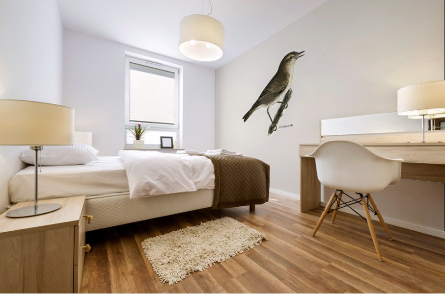 Black Stork Ciconia nigra Mural print