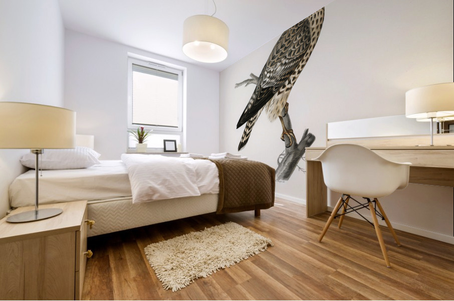 Merlin female Falco aesalon Mural print