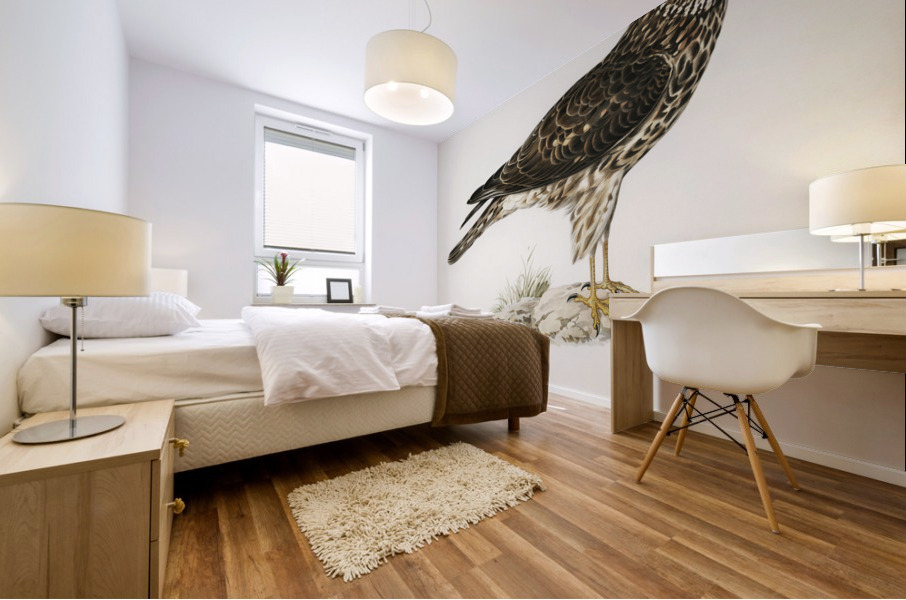 Hen Harrier female Circus cyaneus Mural print