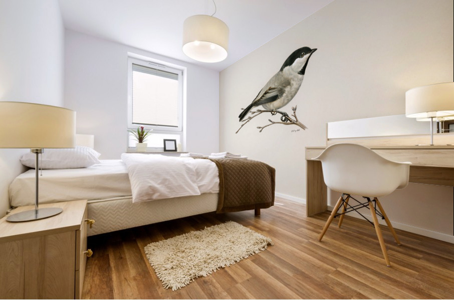 Black-capped chickadee Parus atricapillus Mural print