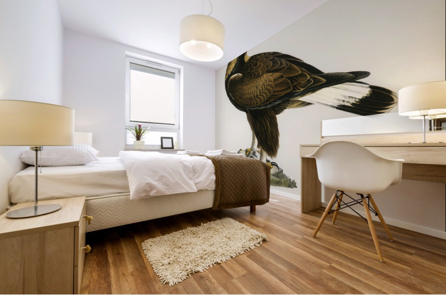 Golden Eagle Aquila chrysaetos Mural print