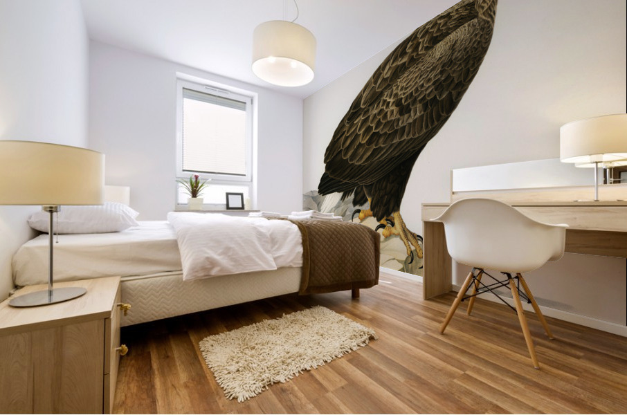 White-tailed eagle Mural print