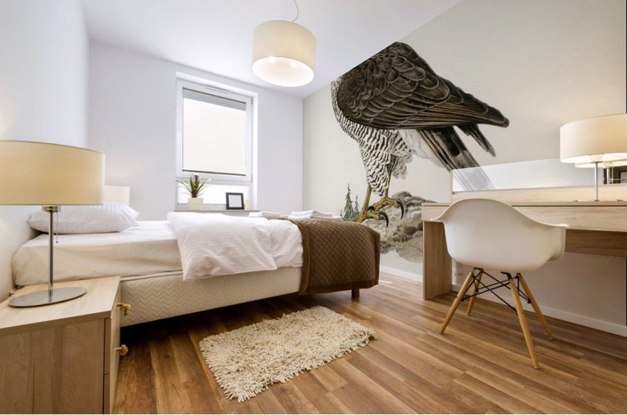 Goshawk female Accipiter gentilis Mural print