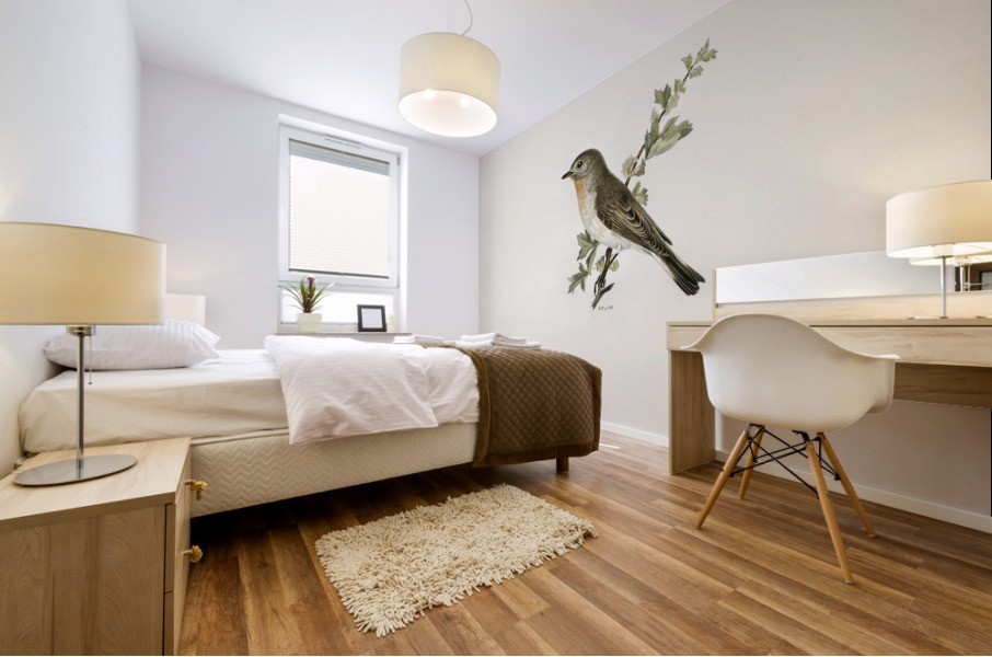 Red-breasted flycatcher ♂ Ficedula parva Mural print