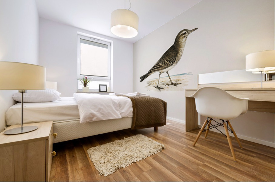 Tawny pipit Anthus campestris Mural print