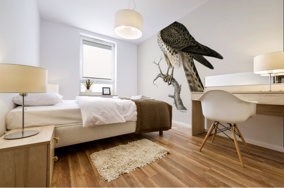 Tawny pipit Anthus campestris Mural print