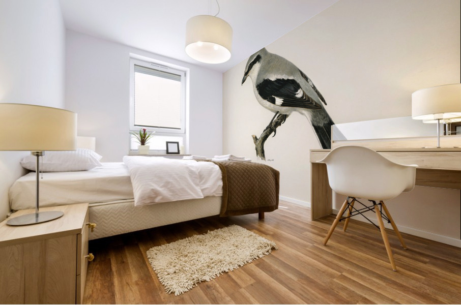 Great Grey Shrike Lanius excubitor Mural print