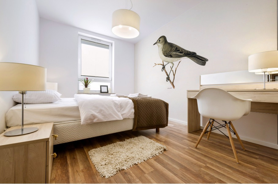 Tree warbler Hypolais hipolais Mural print