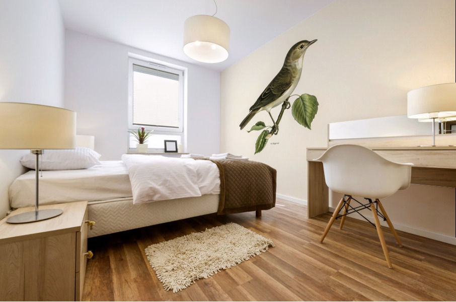 Garden warbler Sylvia borin Mural print