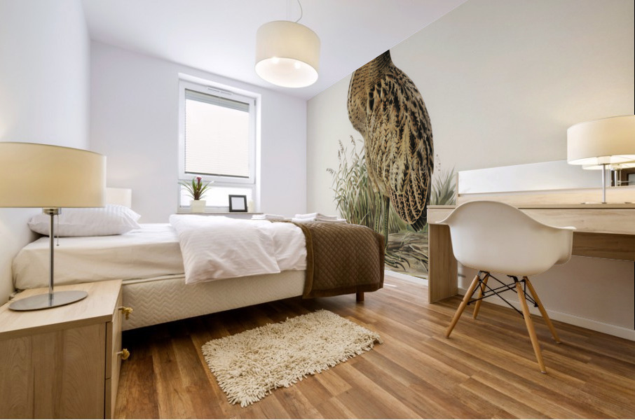 Bittern Botaurus stellaris Mural print