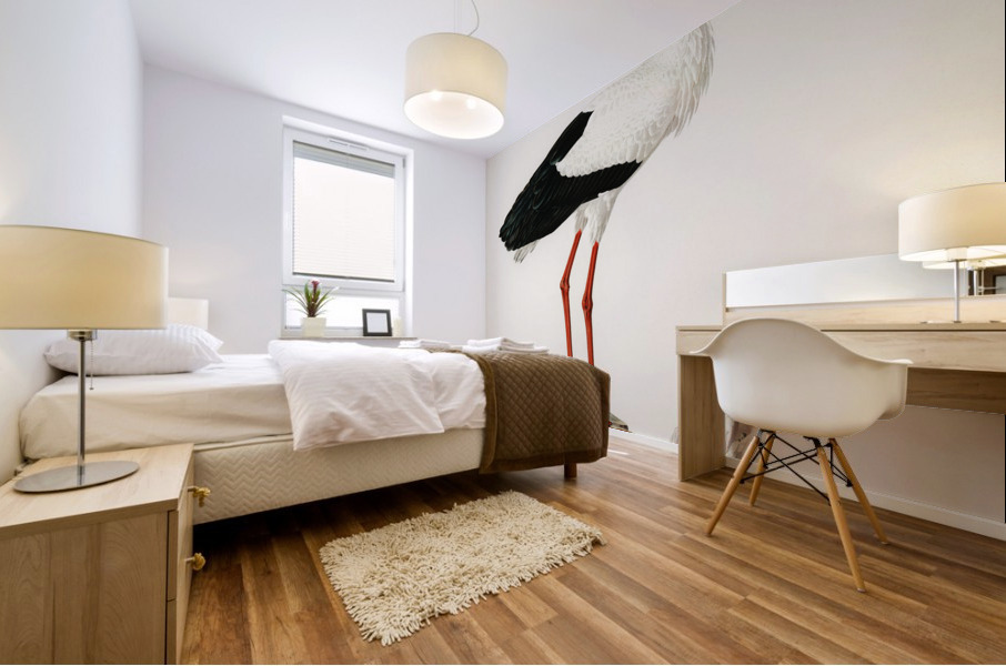 White stork ♀ Ciconia ciconia Mural print