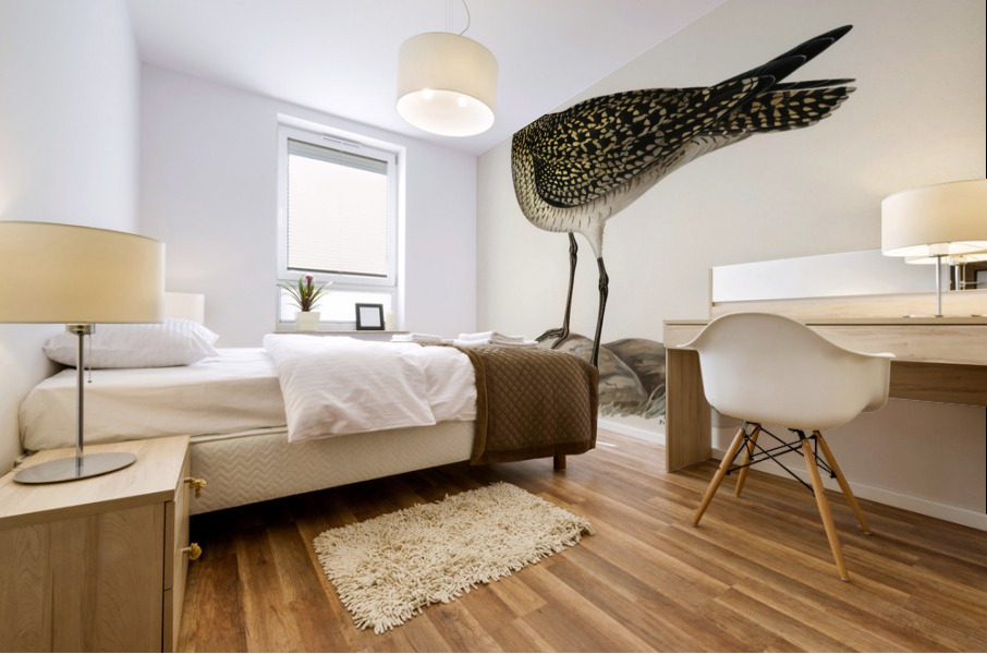 European Golden-Plover charadrius pluvialis apricarius Mural print