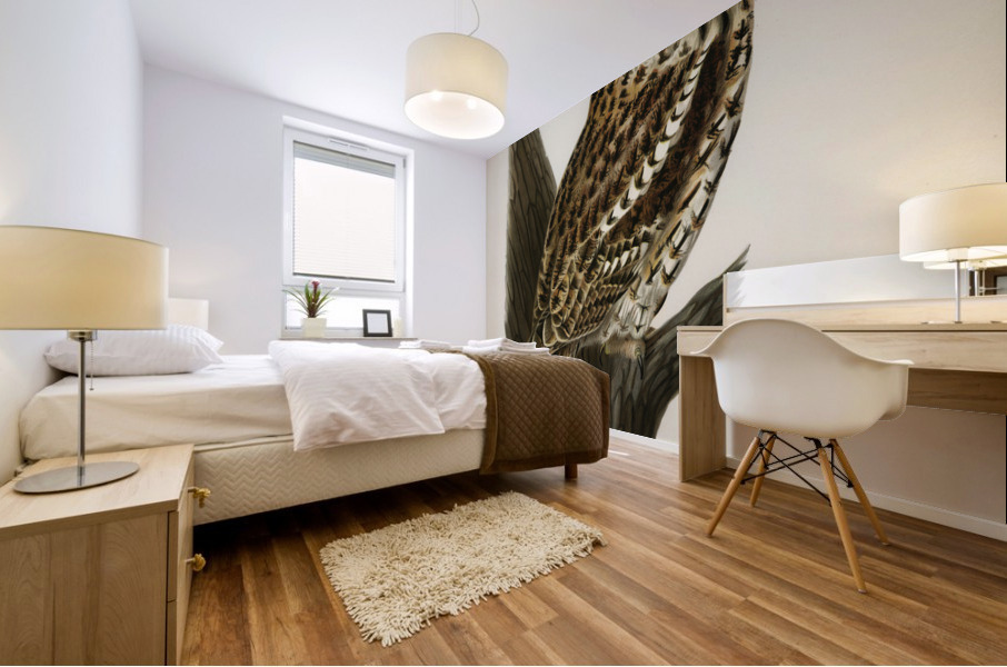 Little gull Larus minutus Mural print