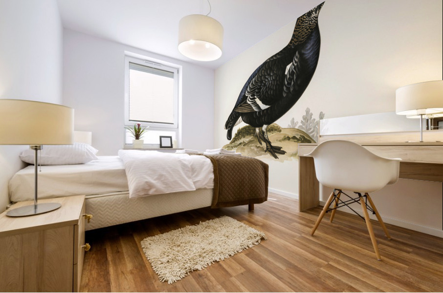Black grouse Lyrurus Tetrix Mural print