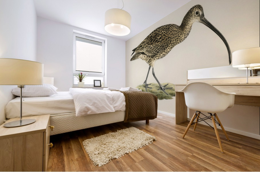 Eurasian curlew numenius arquatusf Mural print