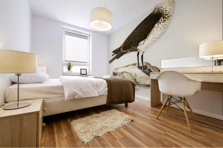 Pomarine jaeger Stercorarius pomarinus Mural print