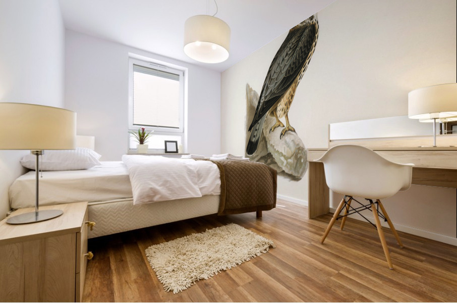 Merlin male Falco aesalon Mural print