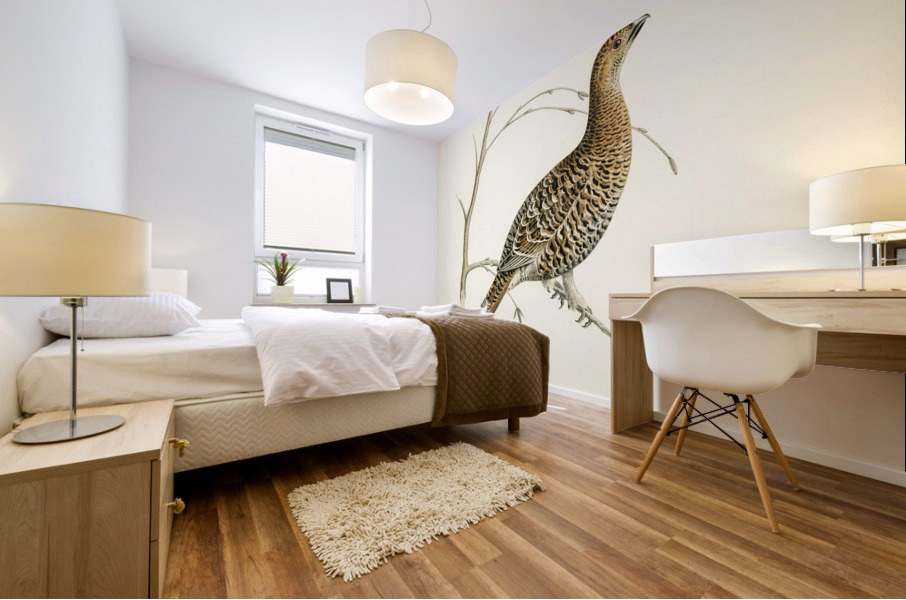 Black grouse Lyrurus tetrix Mural print