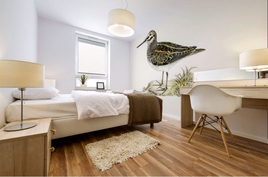 Jack snipe Lymnocryptes minimus Mural print