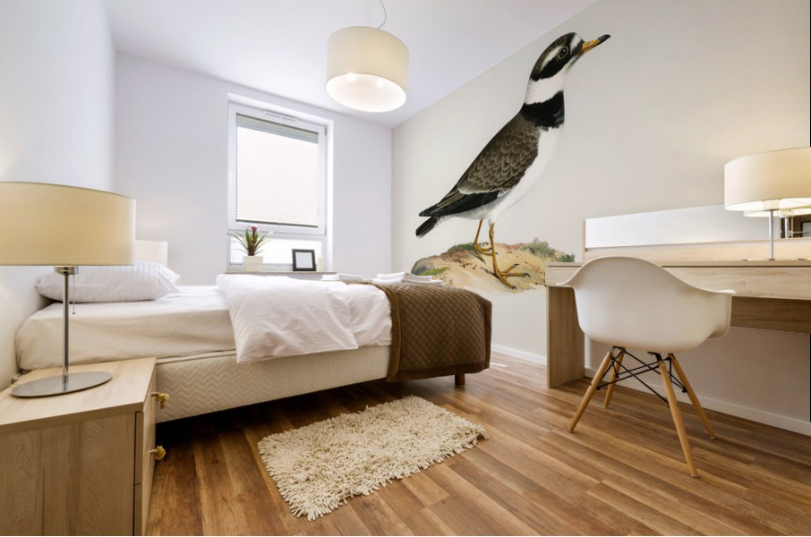 European roller CORACIAS GARRULUS Mural print