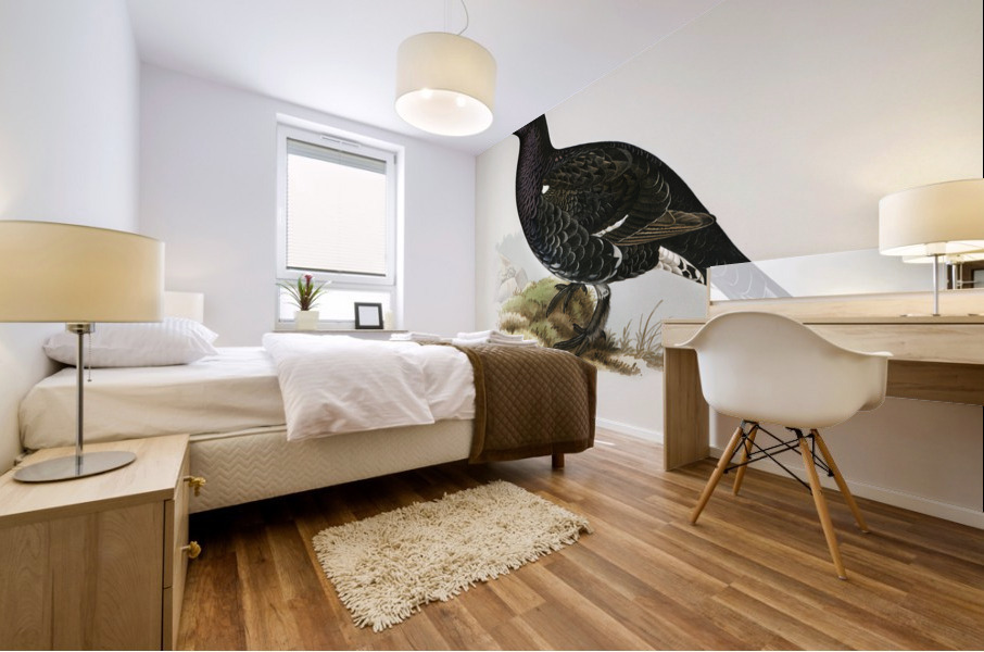 Hybrid between black grouse and western capercaillie Lyrurus tetrix ♂ x Tetrao urogallus ♀ Mural print