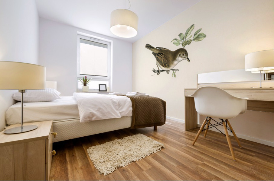 Common whitethroat Sylvia communis Mural print