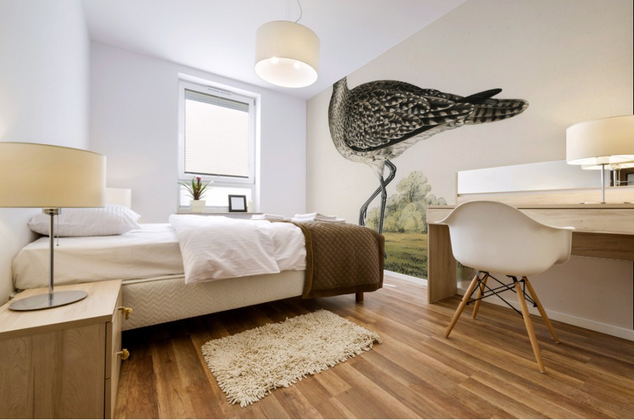 Whimbrel Numenius phaeopus Mural print