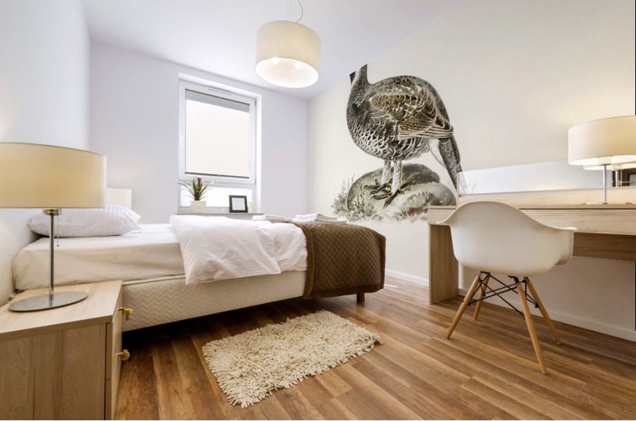 lyrurus tetrix tetrastes bonasia Mural print