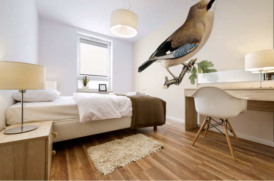 Eurasian jay Garrulus glandarius Mural print