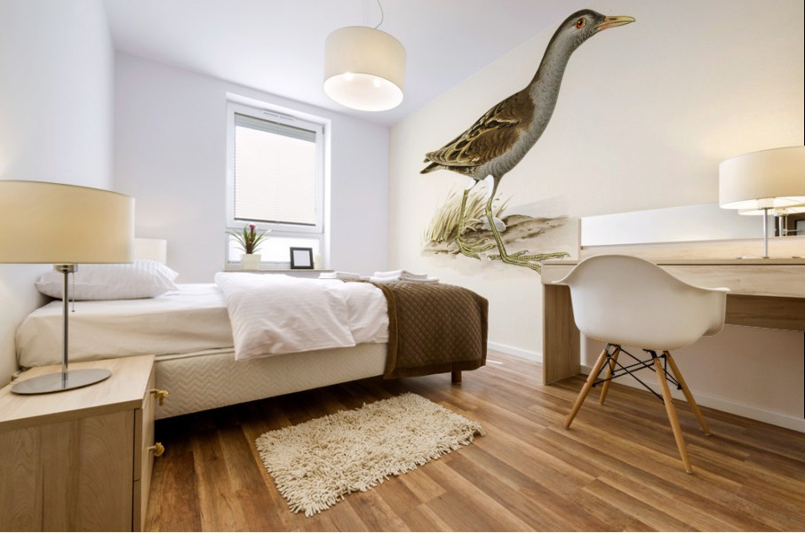 Little crake porzana parva Mural print