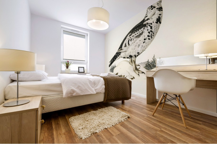 Hybrid between Black grouse and Willow ptarmigan Lyrurus tetrix ♂ x lagopus lagopus ♀ Mural print