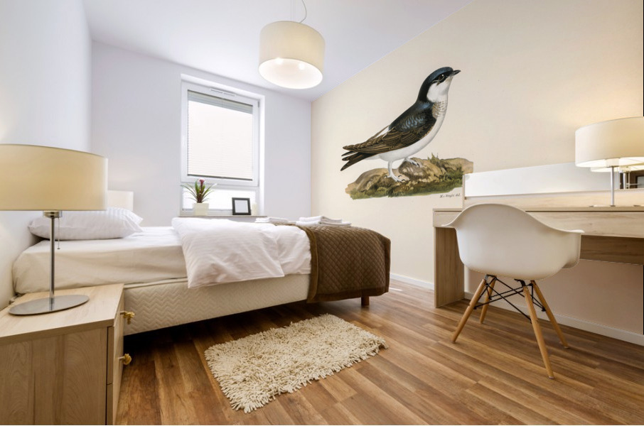 Hirundo Urbica Mural print