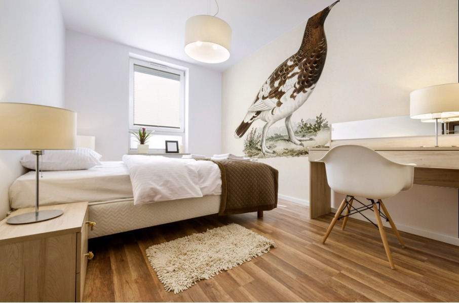 Willow ptarmigan Mural print
