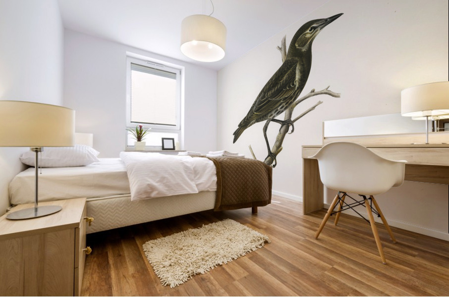 Starling Sturnus vulgaris Mural print